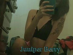 Juniper_Berry