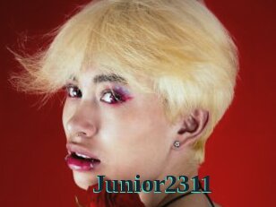 Junior2311