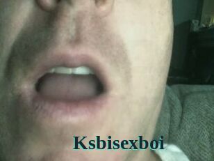 Ksbisexboi