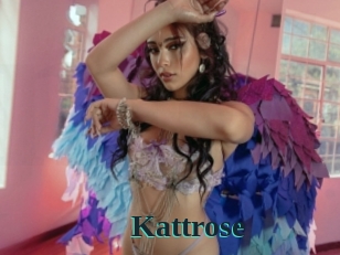 Kattrose