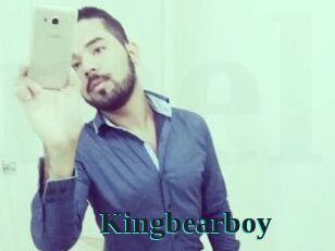 Kingbearboy