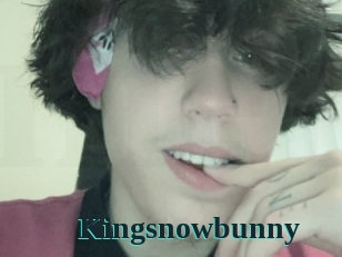 Kingsnowbunny