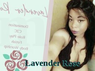 Lavender_Rose