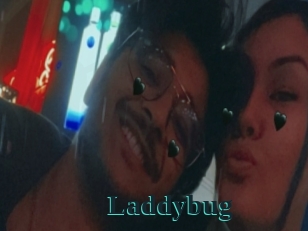 Laddybug