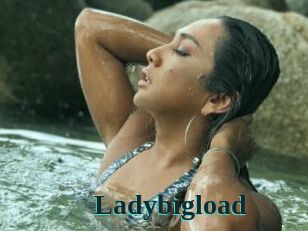 Ladybigload