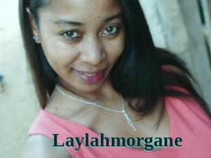 Laylahmorgane