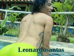 Leonardosantos