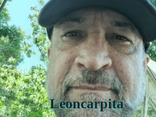 Leoncarpita