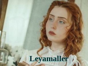 Leyamaller