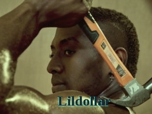 Lildollar