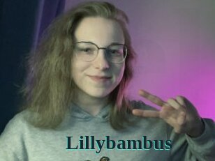 Lillybambus