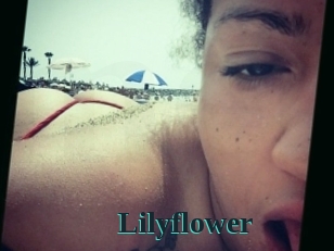 Lilyflower