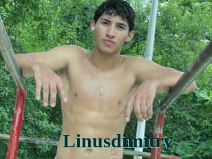 Linusdimitry