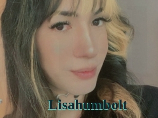 Lisahumbolt