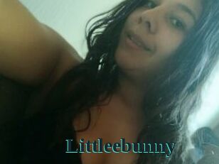 Littleebunny