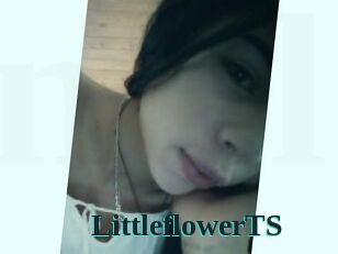 LittleflowerTS