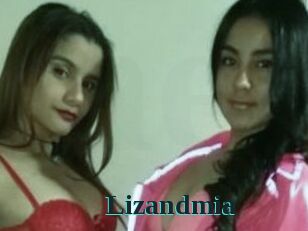 Lizandmia