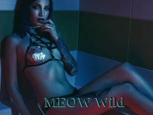 MEOW_Wild