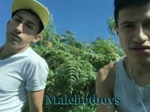 Malehotboys