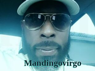 Mandingovirgo