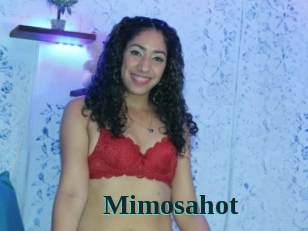 Mimosahot