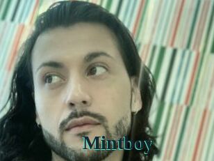 Mintboy