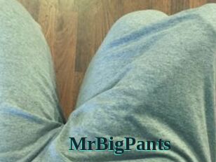 MrBigPants