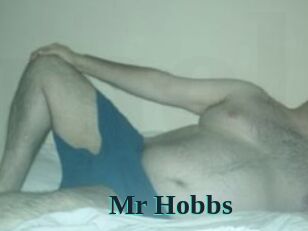 Mr_Hobbs