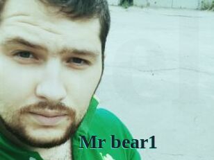 Mr_bear1