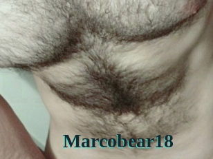 Marcobear18