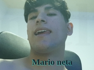 Mario_neta