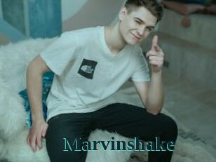 Marvinshake