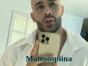 Mateoospiina