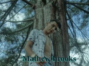 Mathew_brooks