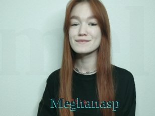 Meghanasp
