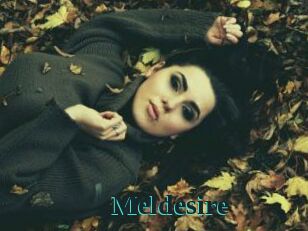 Meldesire