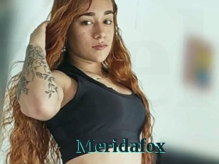 Meridafox