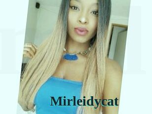 Mirleidycat