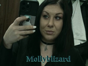 Mollyblizard