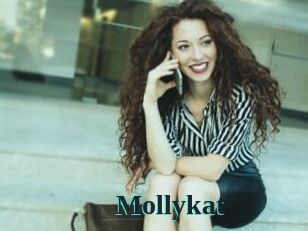 Mollykat