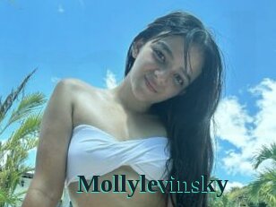 Mollylevinsky