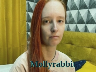 Mollyrabbit