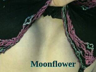 Moonflower