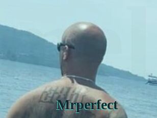 Mrperfect