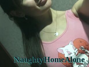 NaughtyHomeAlone