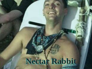 Nectar_Rabbit