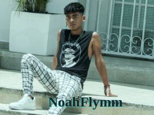 NoahFlymm