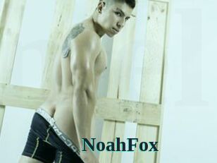 NoahFox