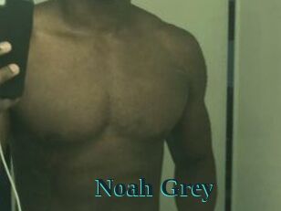 Noah_Grey