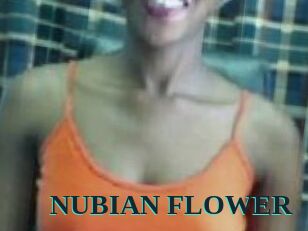 _NUBIAN_FLOWER_